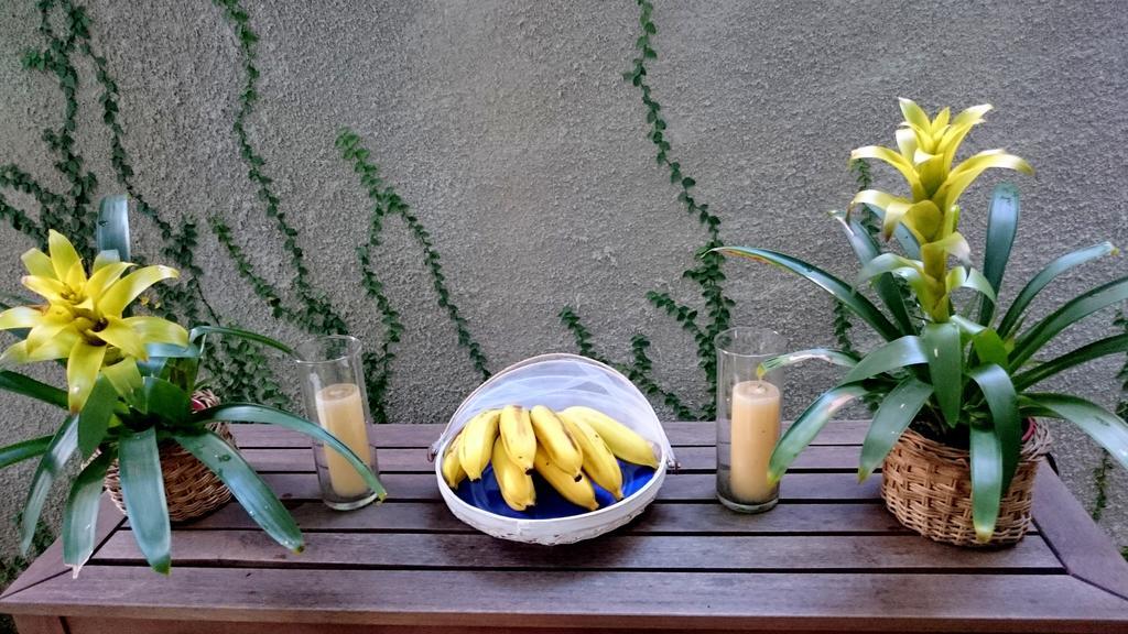 Gavea Bnb ริโอเดจาเนโร ภายนอก รูปภาพ