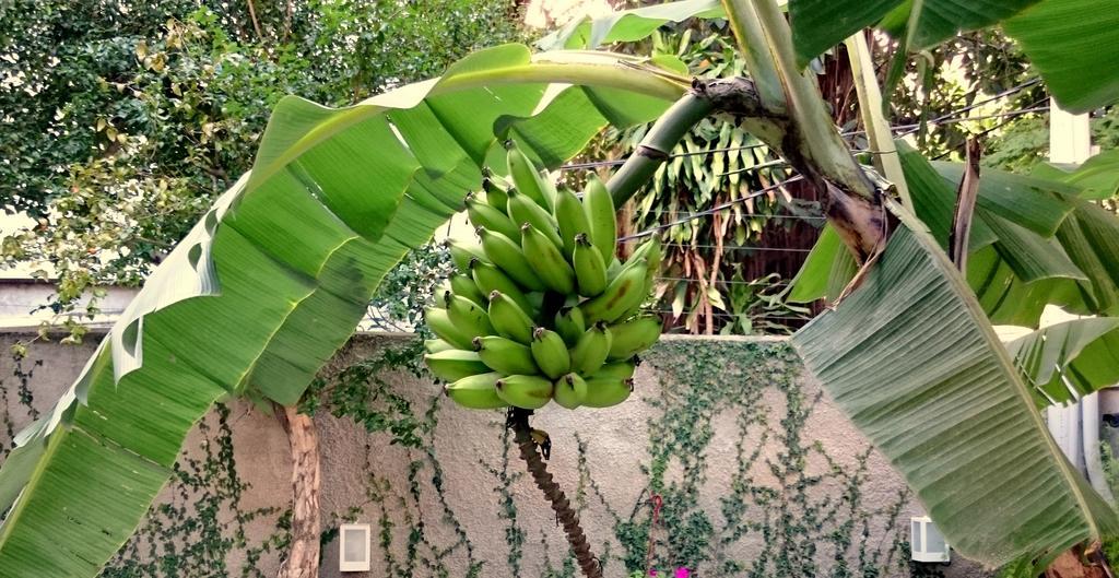 Gavea Bnb ริโอเดจาเนโร ภายนอก รูปภาพ